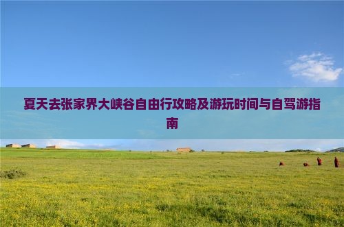 夏天去张家界大峡谷自由行