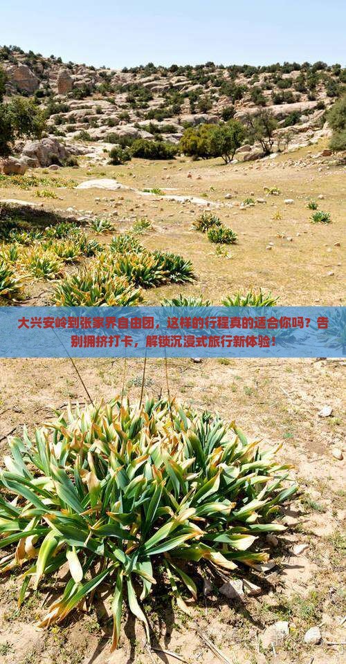 大兴安岭到张家界自由团
