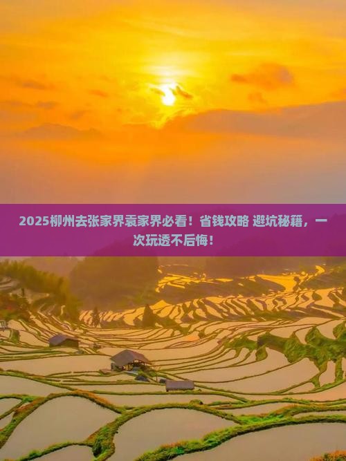 柳州去张家界袁家界旅行社
