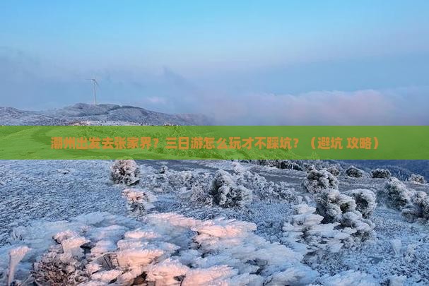 潮州去张家界森林公园三日游