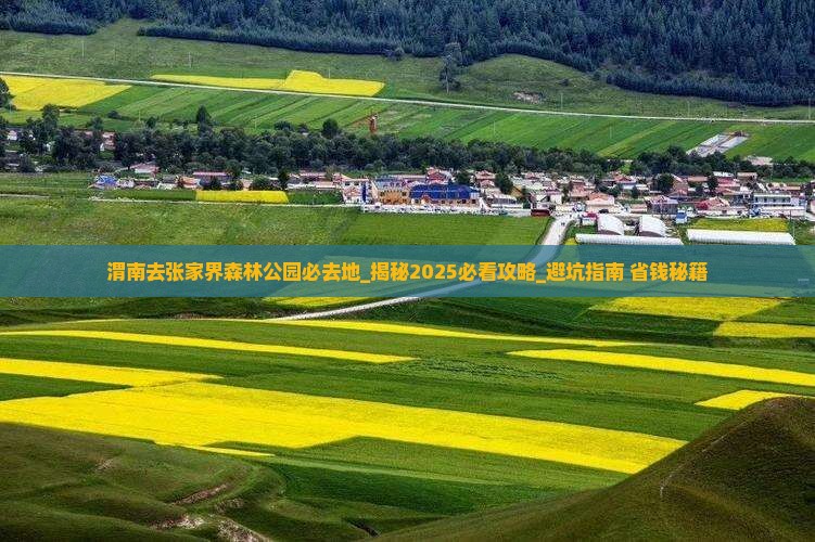 渭南去张家界森林公园必去地