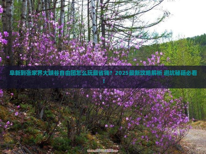阜新到张家界大峡谷自由团