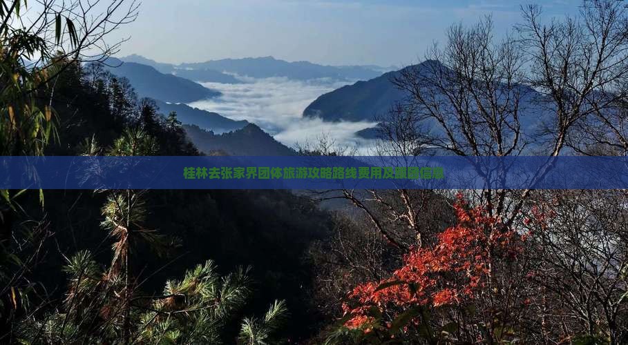 桂林去张家界团体旅游