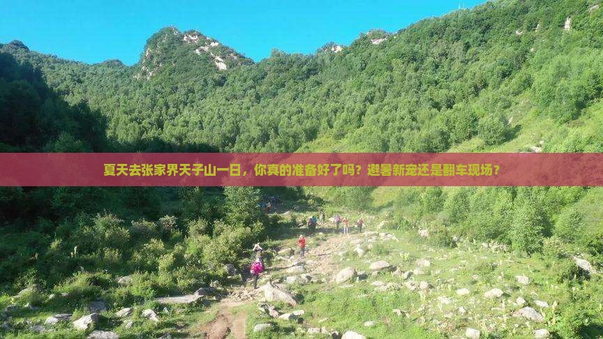 夏天去张家界天子山一日