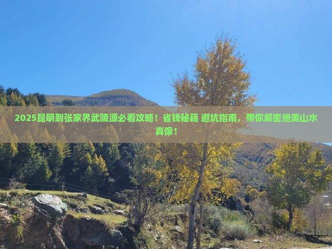 昆明到张家界武陵源大型旅游团