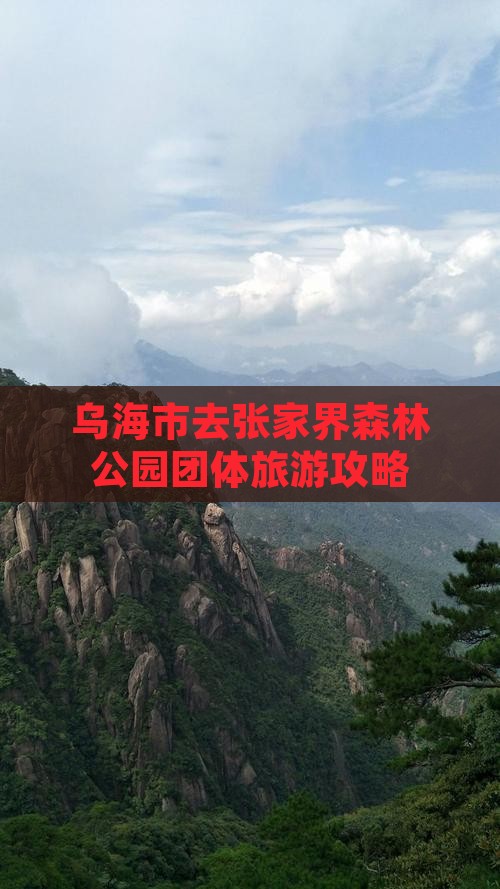 乌海市去张家界森林公园团体旅游