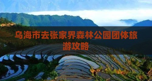 乌海市去张家界森林公园团体旅游