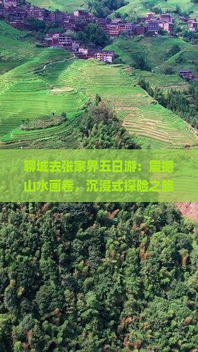 聊城去张家界五日游