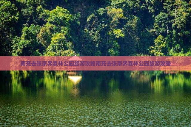 南充去张家界森林公园旅游