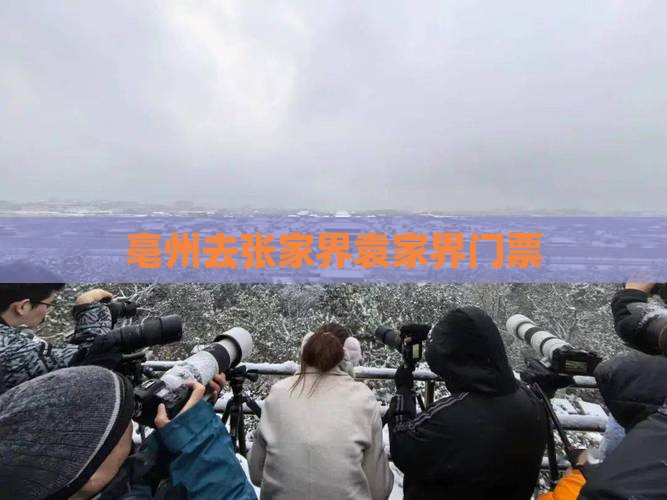 亳州去张家界袁家界门票