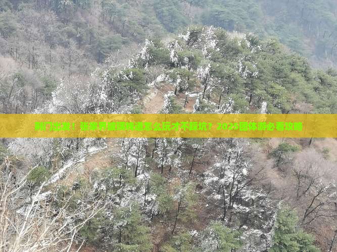 荆门到张家界玻璃栈道团体旅游