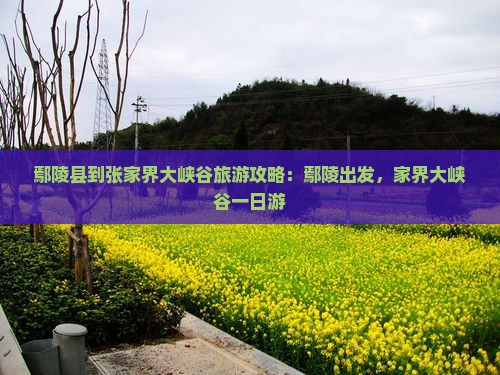 鄢陵县到张家界大峡谷旅游