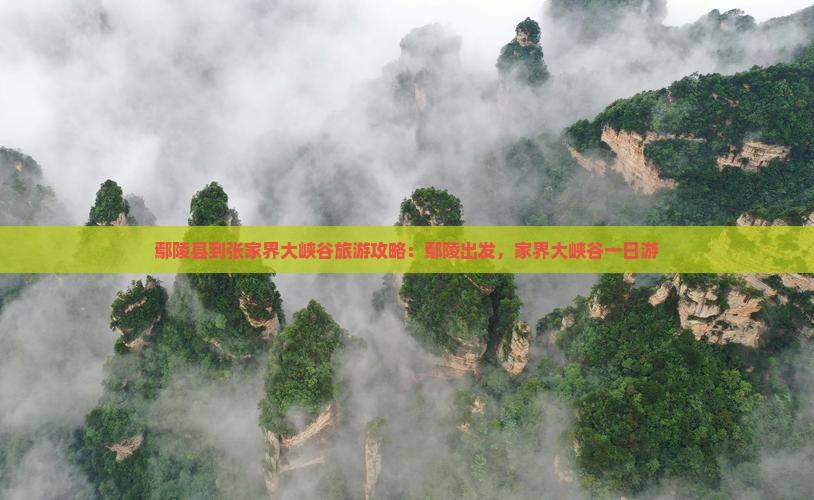 鄢陵县到张家界大峡谷旅游