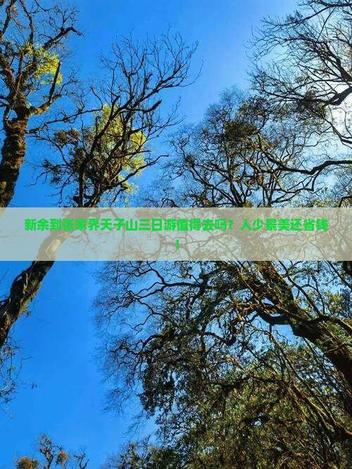 新余到张家界天子山三日游