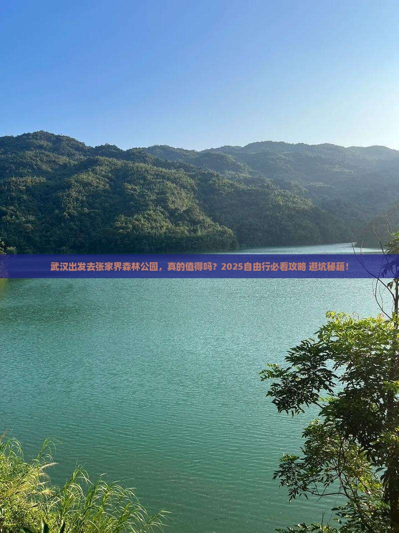 武汉去张家界森林公园自由行