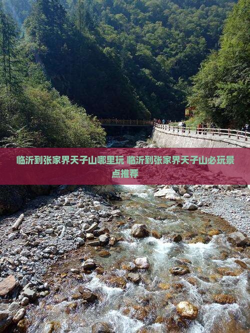 临沂到张家界天子山哪里玩