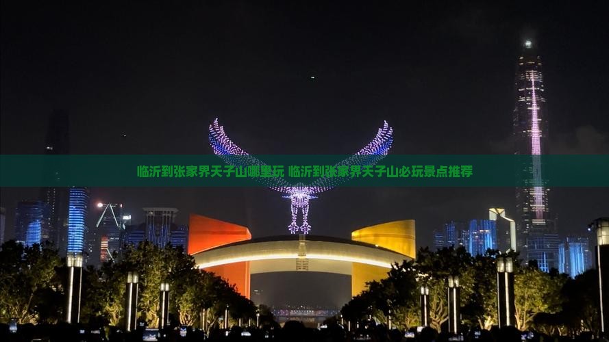 临沂到张家界天子山哪里玩