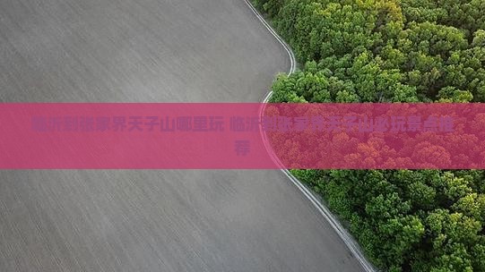 临沂到张家界天子山哪里玩