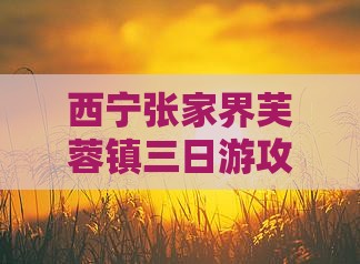 西宁去张家界芙蓉镇三日游
