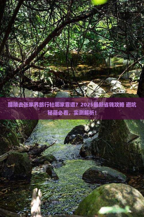醴陵去张家界旅行社