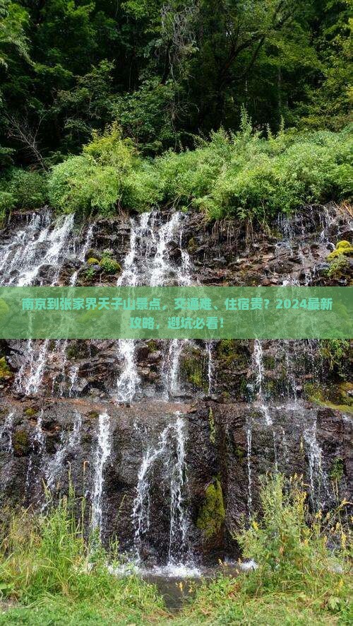 南京到张家界天子山景点