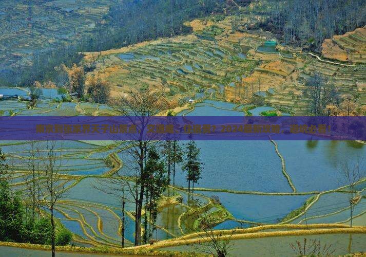 南京到张家界天子山景点