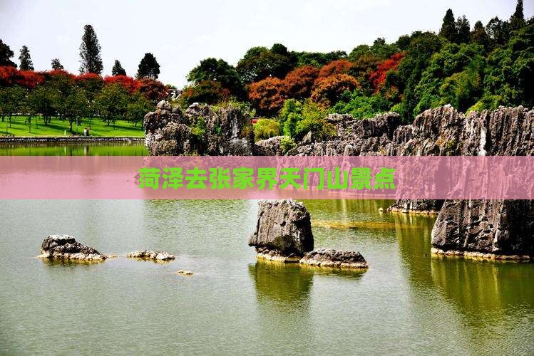 菏泽去张家界天门山景点