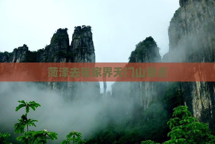 菏泽去张家界天门山景点