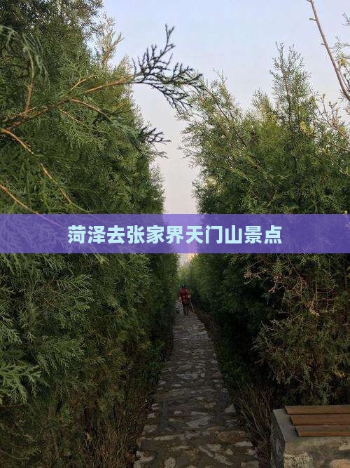 菏泽去张家界天门山景点