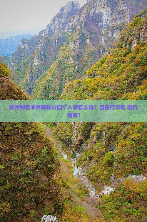 钦州到张家界森林公园个人游