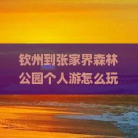 钦州到张家界森林公园个人游
