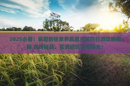 襄阳到张家界凤凰古城四日游
