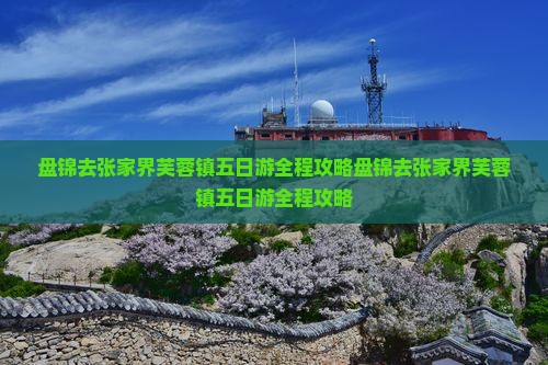 盘锦去张家界芙蓉镇五日游