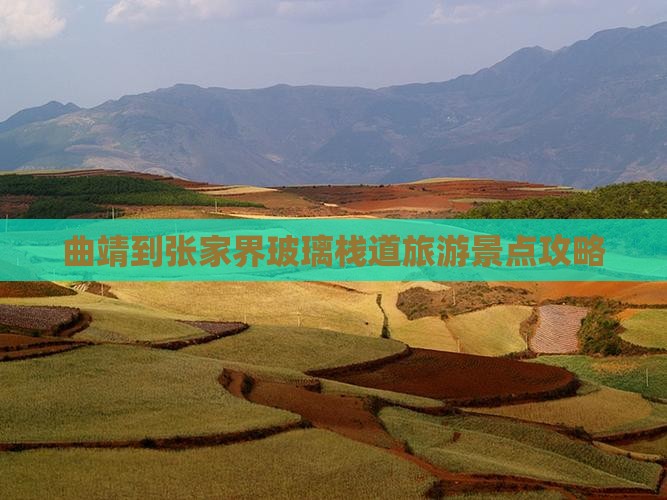 曲靖到张家界玻璃栈道大型旅游团
