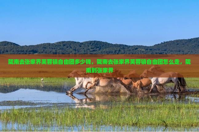 陇南去张家界芙蓉镇自由团