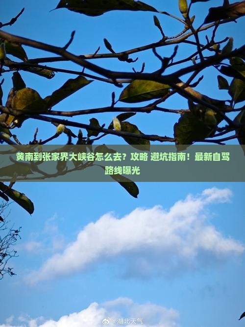 黄南到张家界大峡谷景点