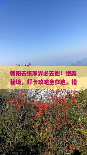 朝阳去张家界必去地