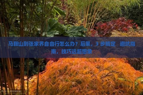 马鞍山到张家界自由行