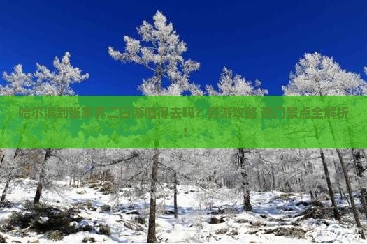 哈尔滨到张家界二日游
