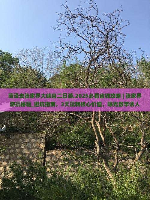 菏泽去张家界大峡谷二日游