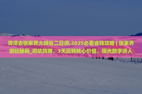 菏泽去张家界大峡谷二日游