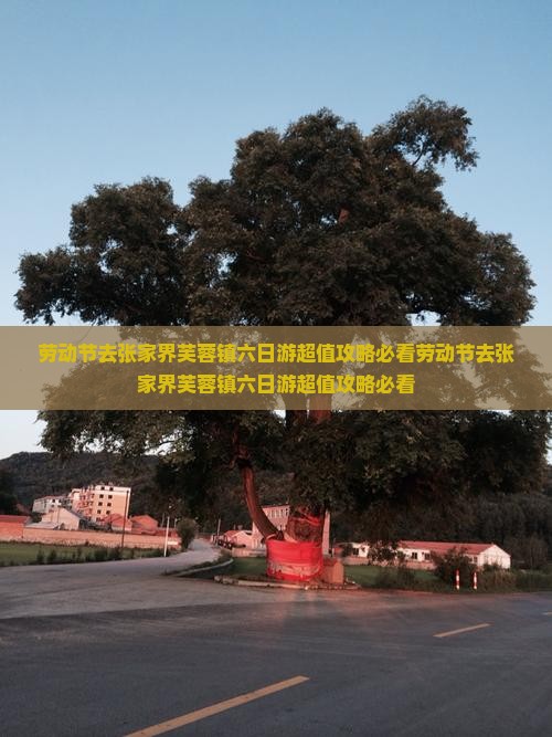 劳动节去张家界芙蓉镇六日游