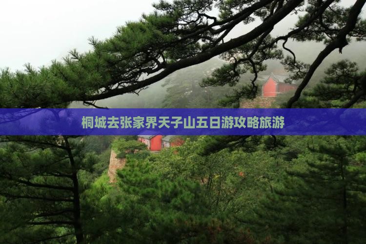 桐城去张家界天子山五日游