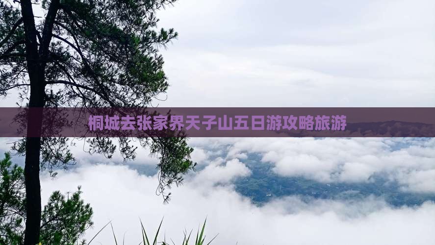 桐城去张家界天子山五日游
