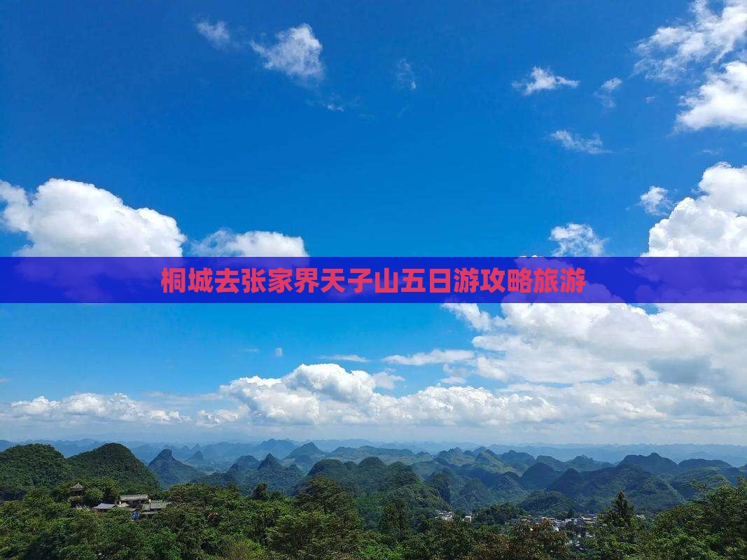 桐城去张家界天子山五日游