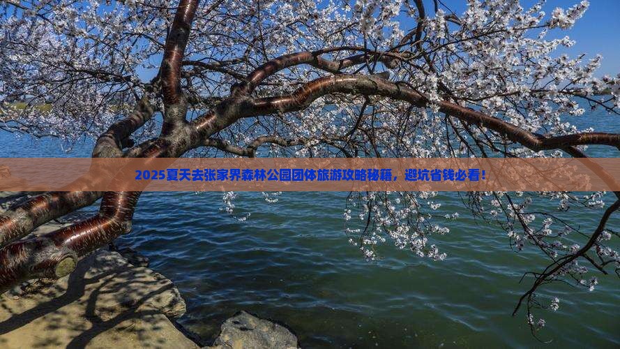 夏天去张家界森林公园团体旅游