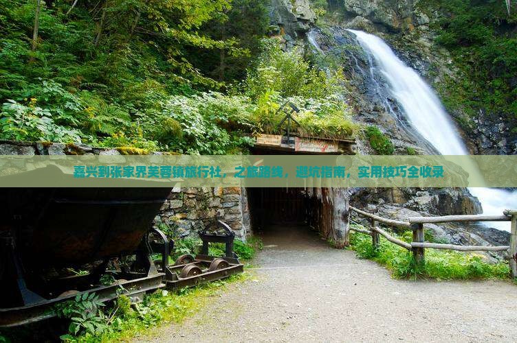 嘉兴到张家界芙蓉镇旅行社