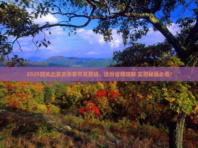 韶关去张家界芙蓉镇旅行社