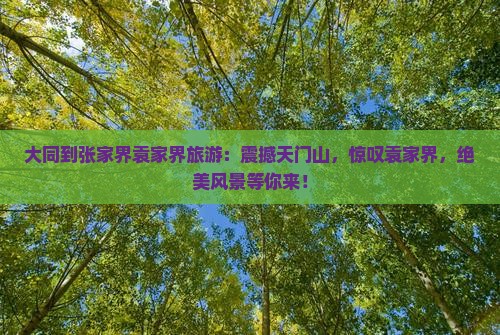 大同到张家界袁家界旅游