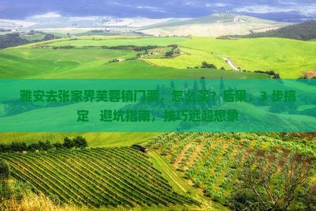 雅安去张家界芙蓉镇门票